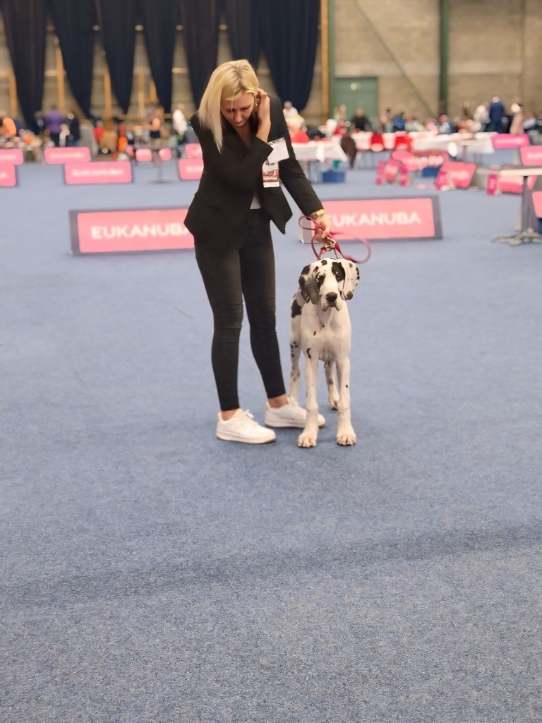 Altesse Du Phare Dunkerquois